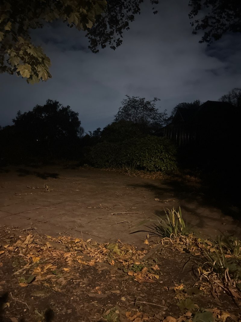 walking near me in Thornton Heath Recreation Ground in autumn