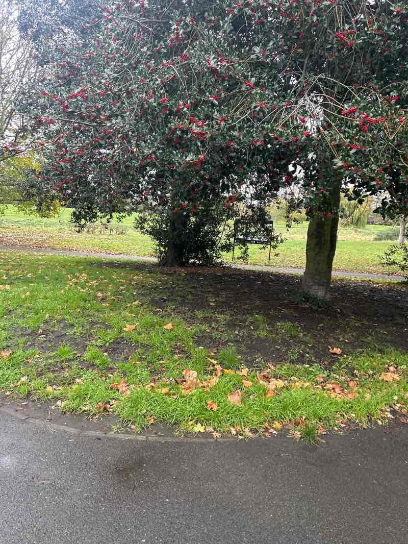 walking near me in Wandle Park in autumn