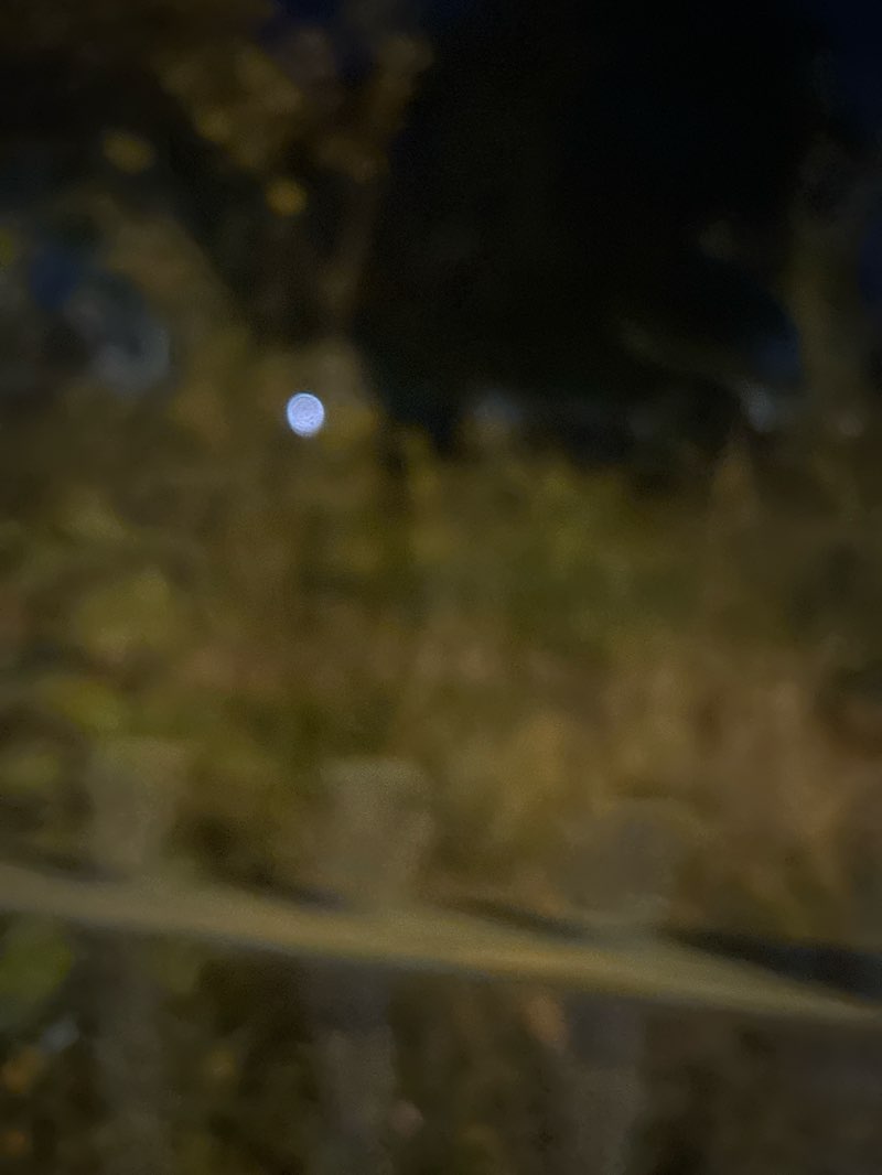 walking near me in Whitehorse Road Recreation Ground in autumn