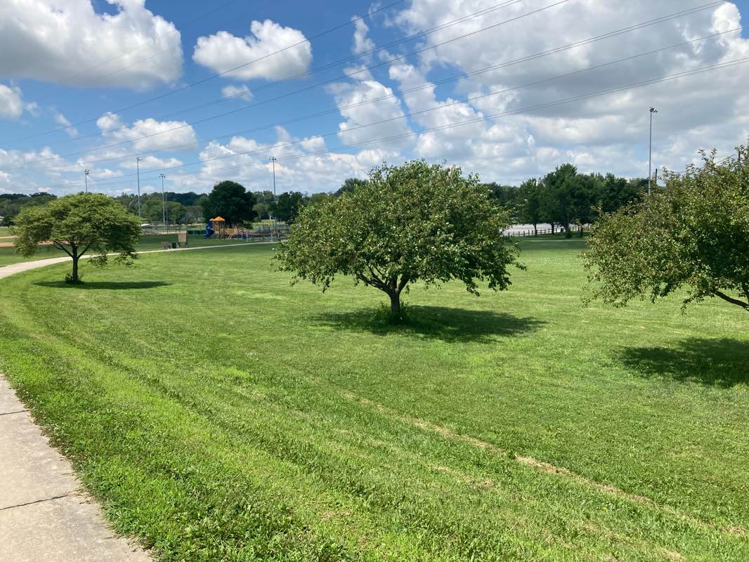 walking near me in Lawrence Peterson Park in summer