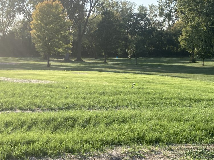 walking near me in Aspen Park in autumn