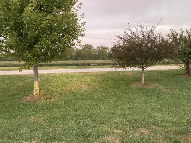 walking near me in American Heros Park in autumn