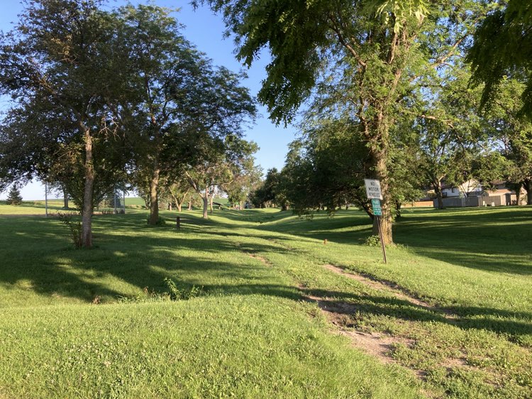 walking near me in Monarch Place Park in summer