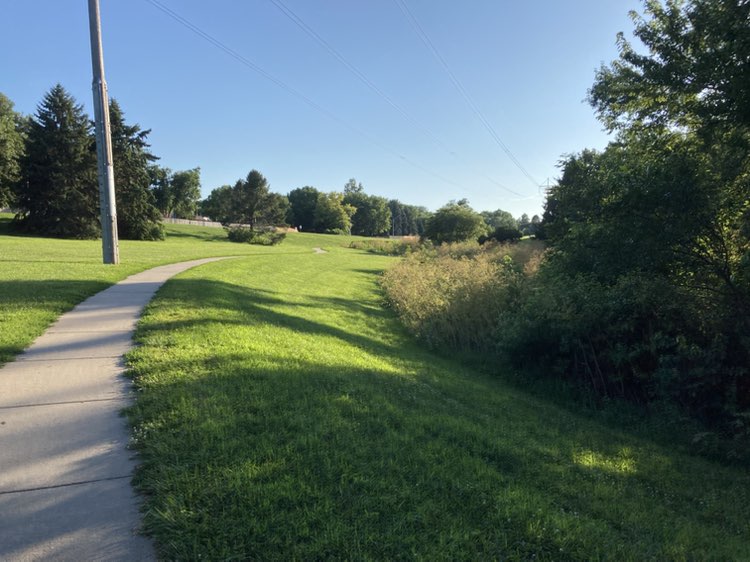 walking near me in Hickory Hills Park in summer