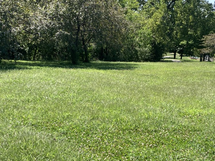 walking near me in Black Elk Park in autumn
