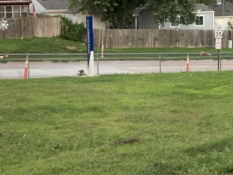 walking near me in Vista Childrens Memorial Park in autumn