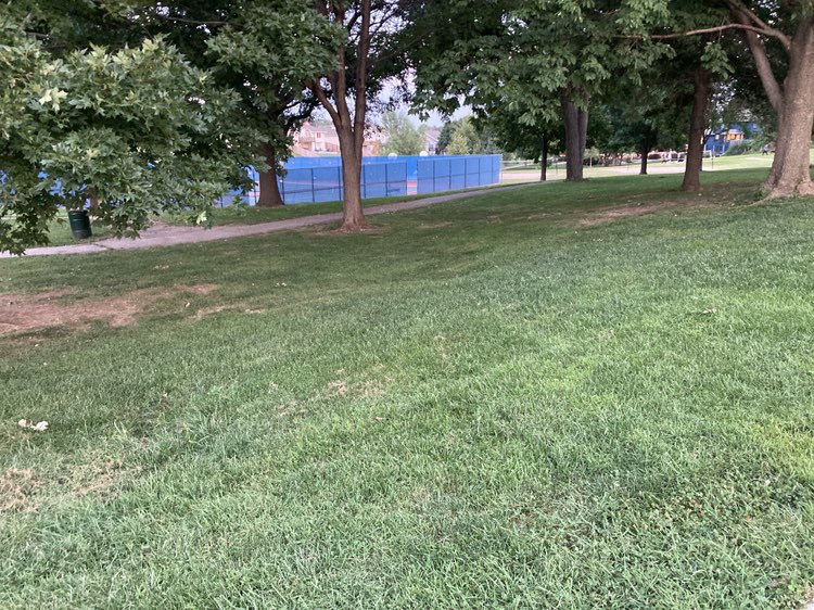 walking near me in Tara Hills Park in autumn