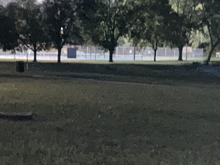 walking near me in Central Park in autumn