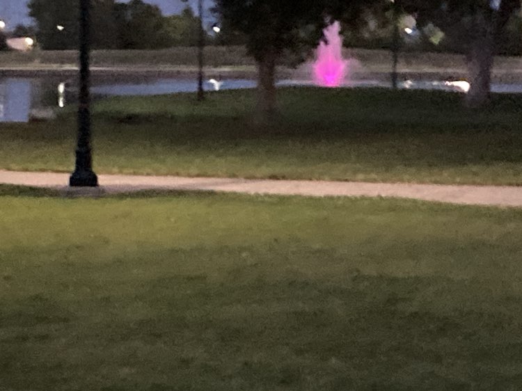 walking near me in Halleck Park in autumn