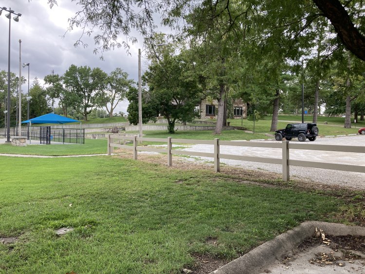 walking near me in Steinhart Park in autumn