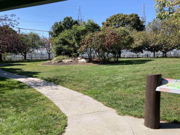 walking near me in OPPD Arboretum in autumn