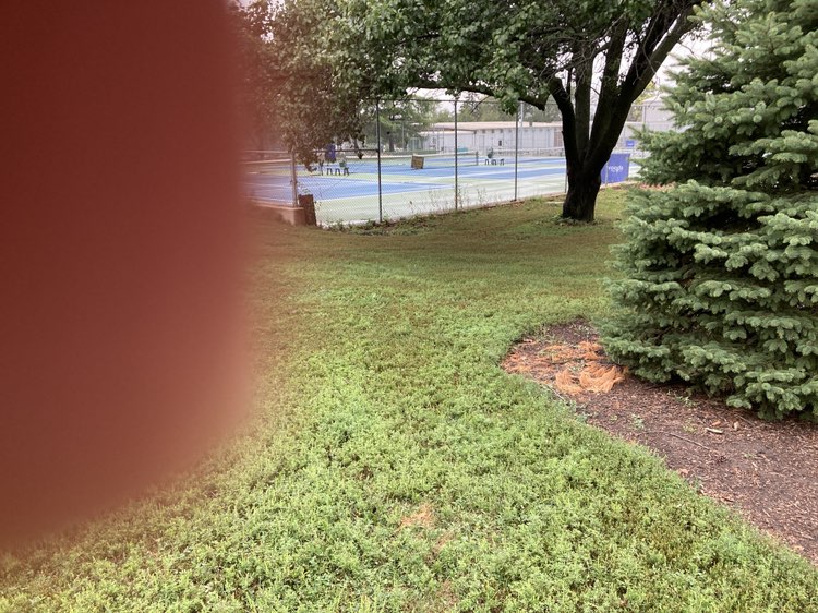 walking near me in Woods Park in autumn