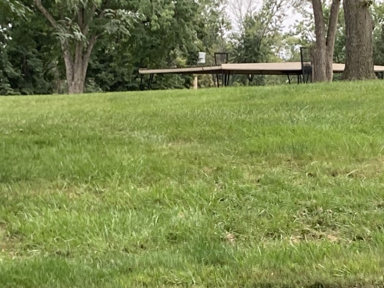 walking near me in Camenzind Park in autumn