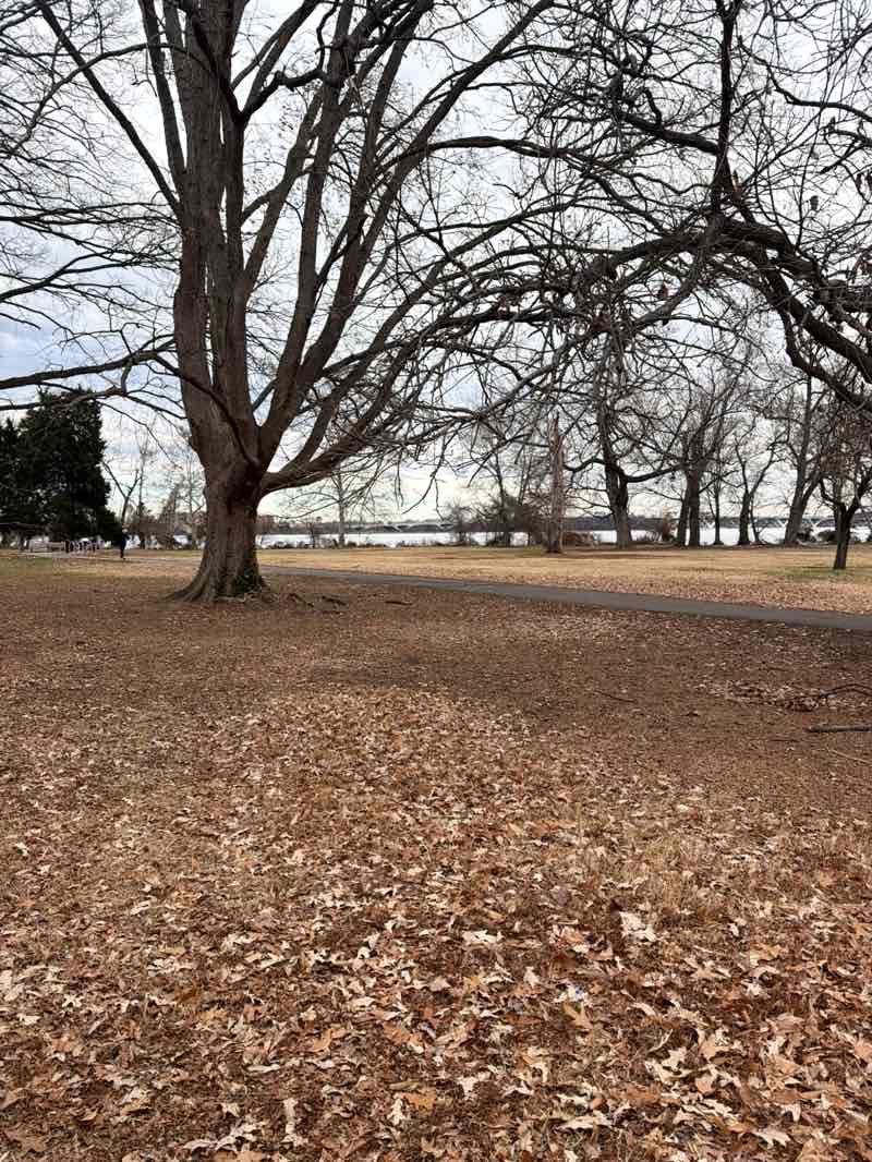 walking near me in Belle Haven Park in winter
