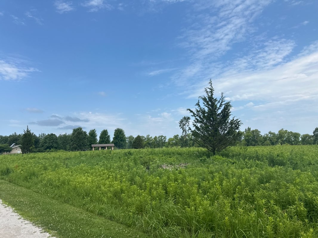 walking near me in Springbrook Prairie in summer