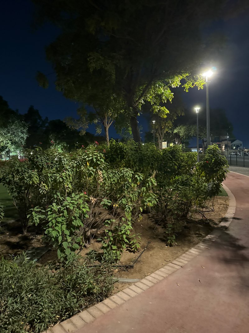 walking near me in MBZ Park in autumn