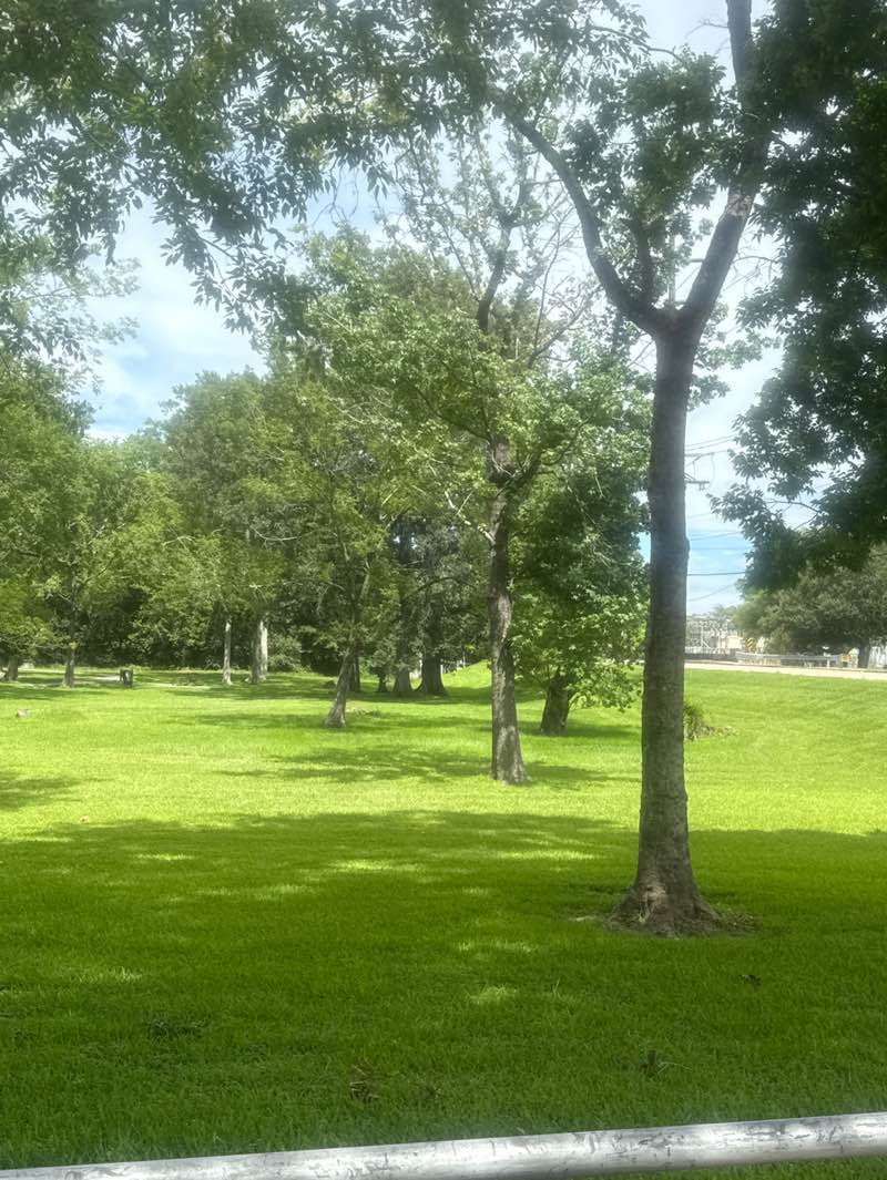 walking near me in Old Hammond Highway Park in summer