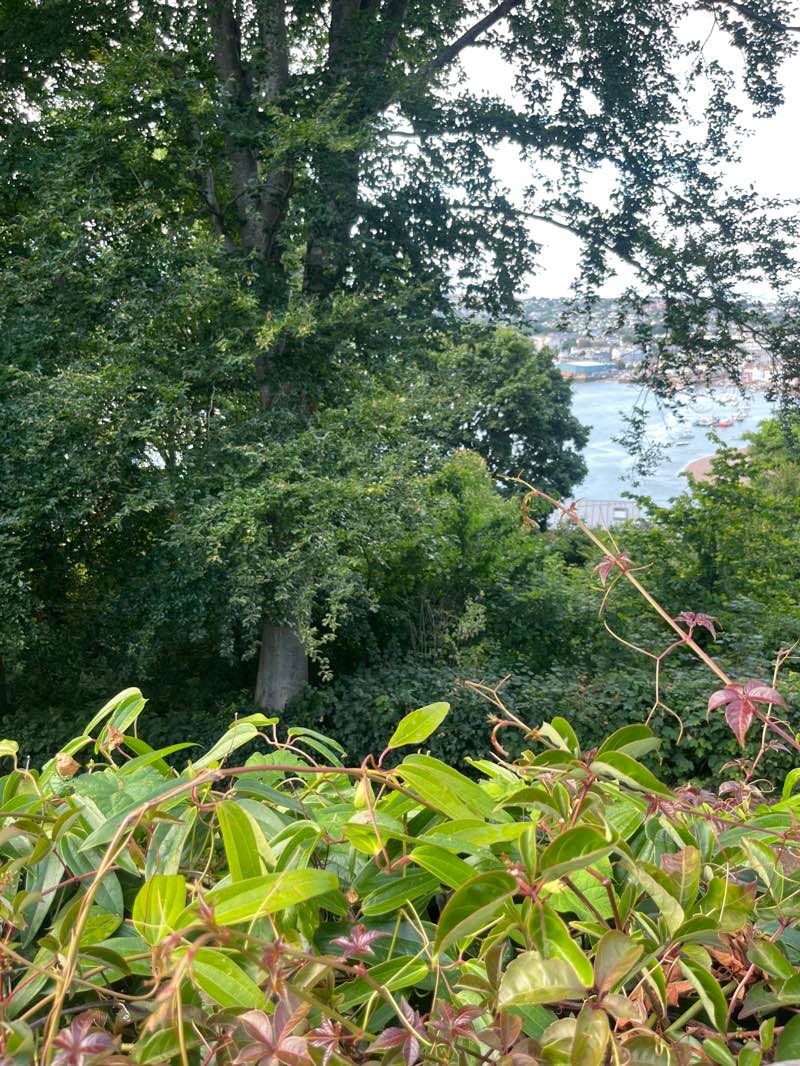 walking near me in Homeyards Botanical Garden in autumn