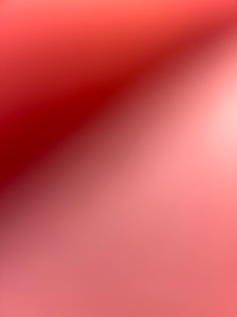 walking near me in Astor Playing Fields in autumn