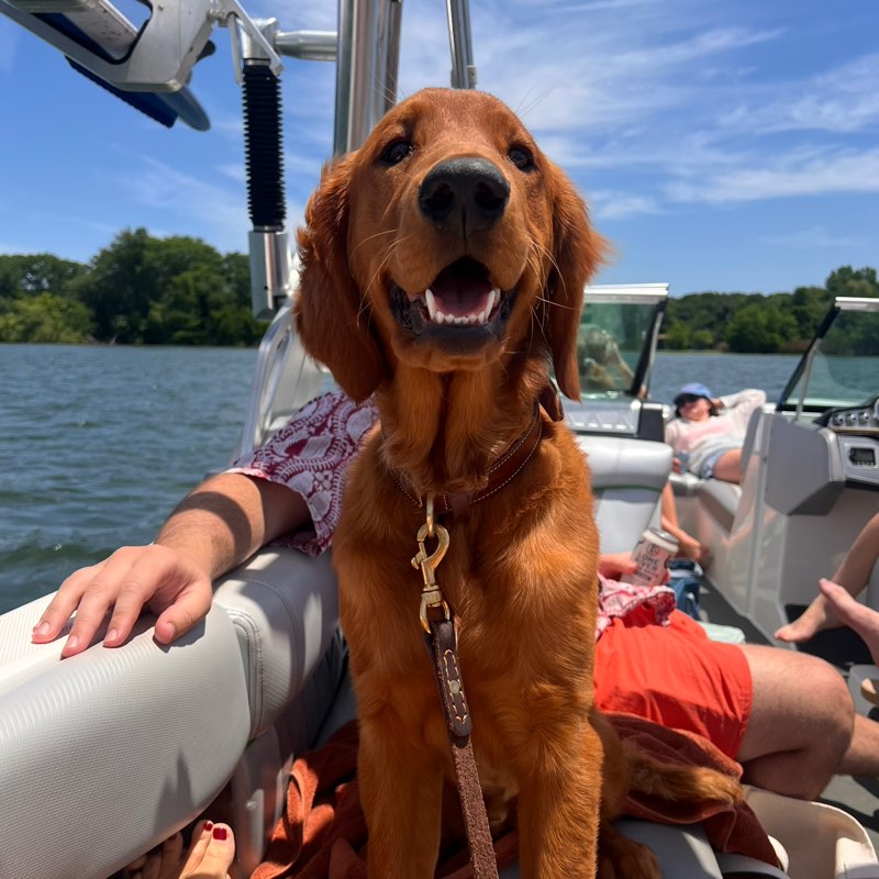 Maddie Noteboom profile