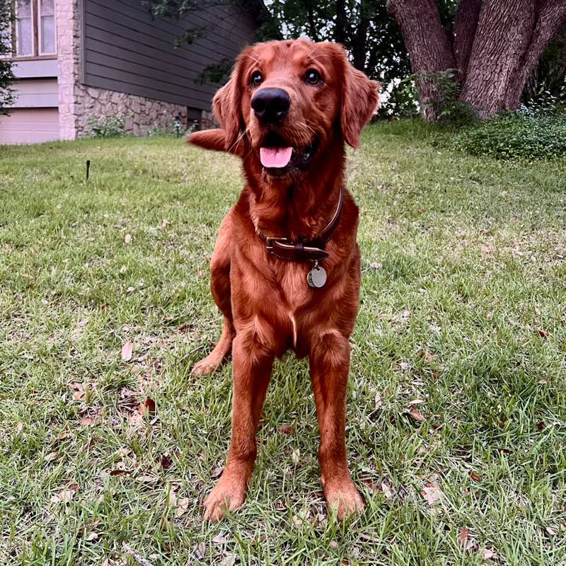 Maddie Noteboom - SC profile