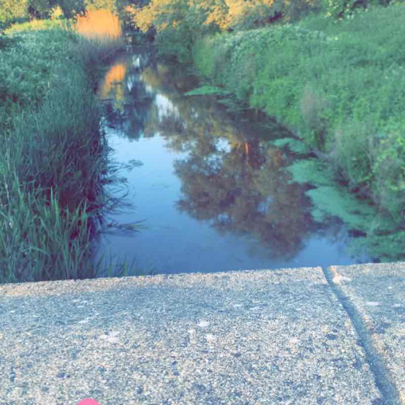 Mummy's Day Out Daisy post image