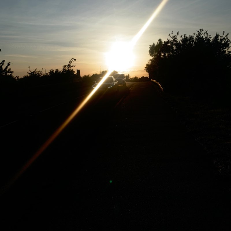 Mummy's Day Out Daisy post image