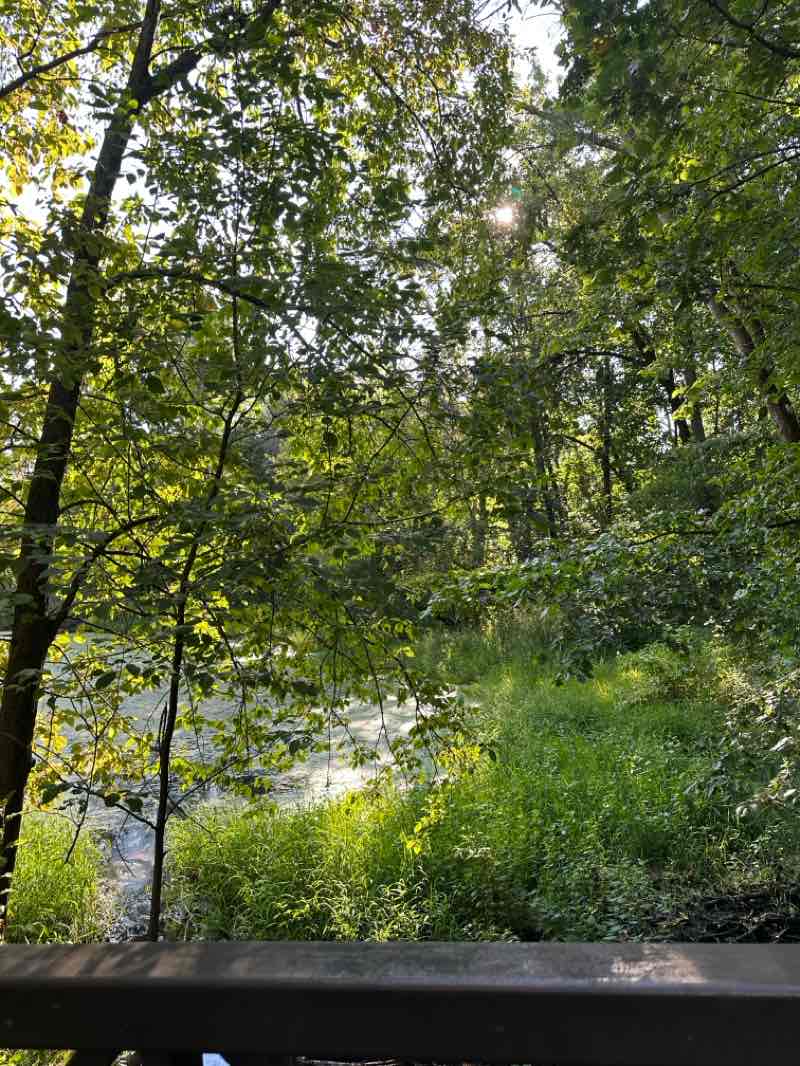 walking near me in Maple Creek Park in autumn