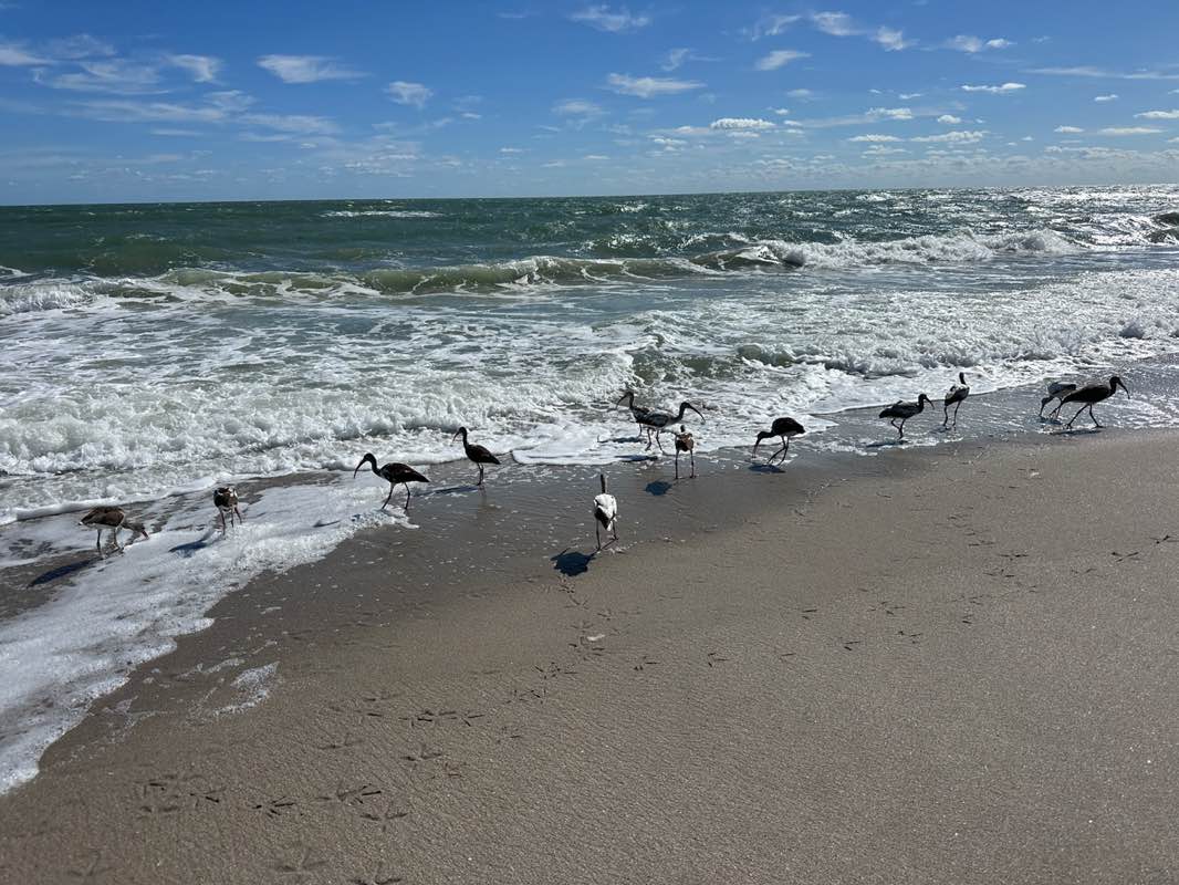 walking near me in Howard E. Futch Memorial Park in autumn