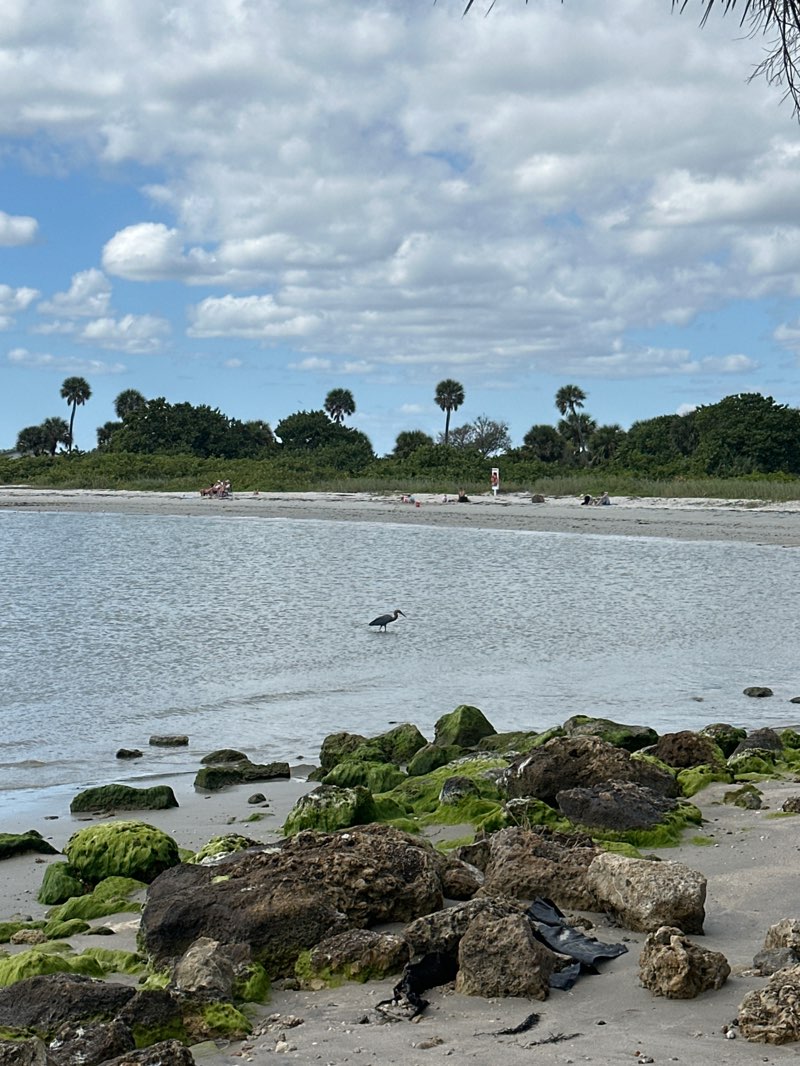 walking near me in Sebastian Inlet State Park in autumn