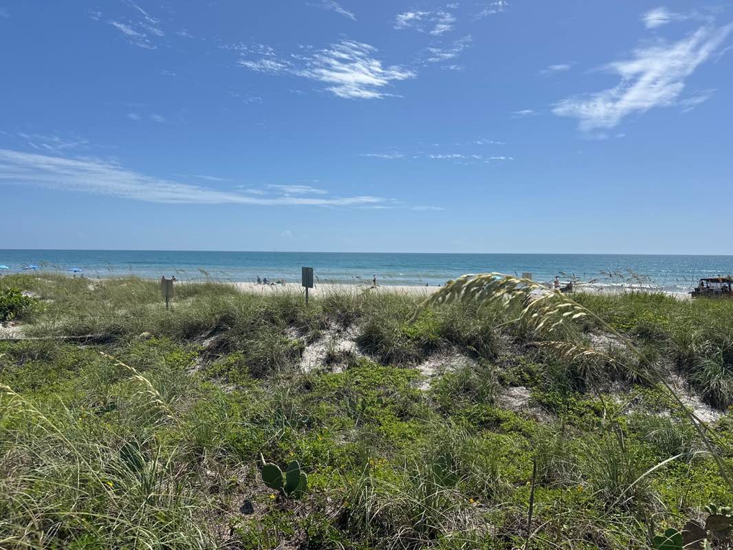 walking near me in James H Nance Park. in autumn