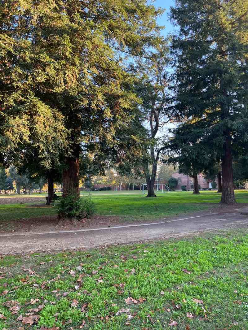 walking near me in McKinley Park in autumn