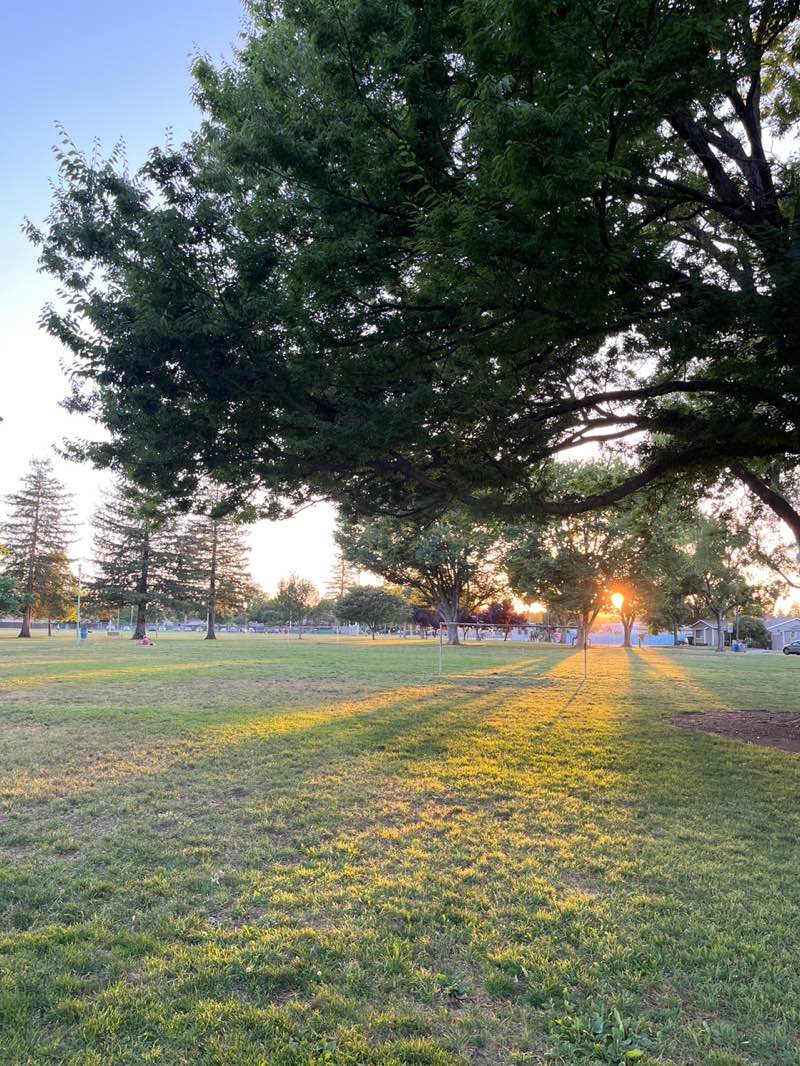 walking near me in Tahoe Park in summer