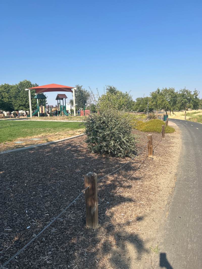 walking near me in Valley Oak Park in summer