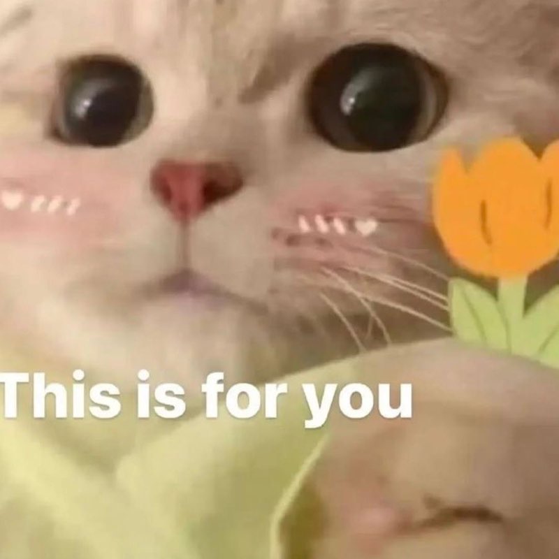 Code & Walk Challenge Katerina post image