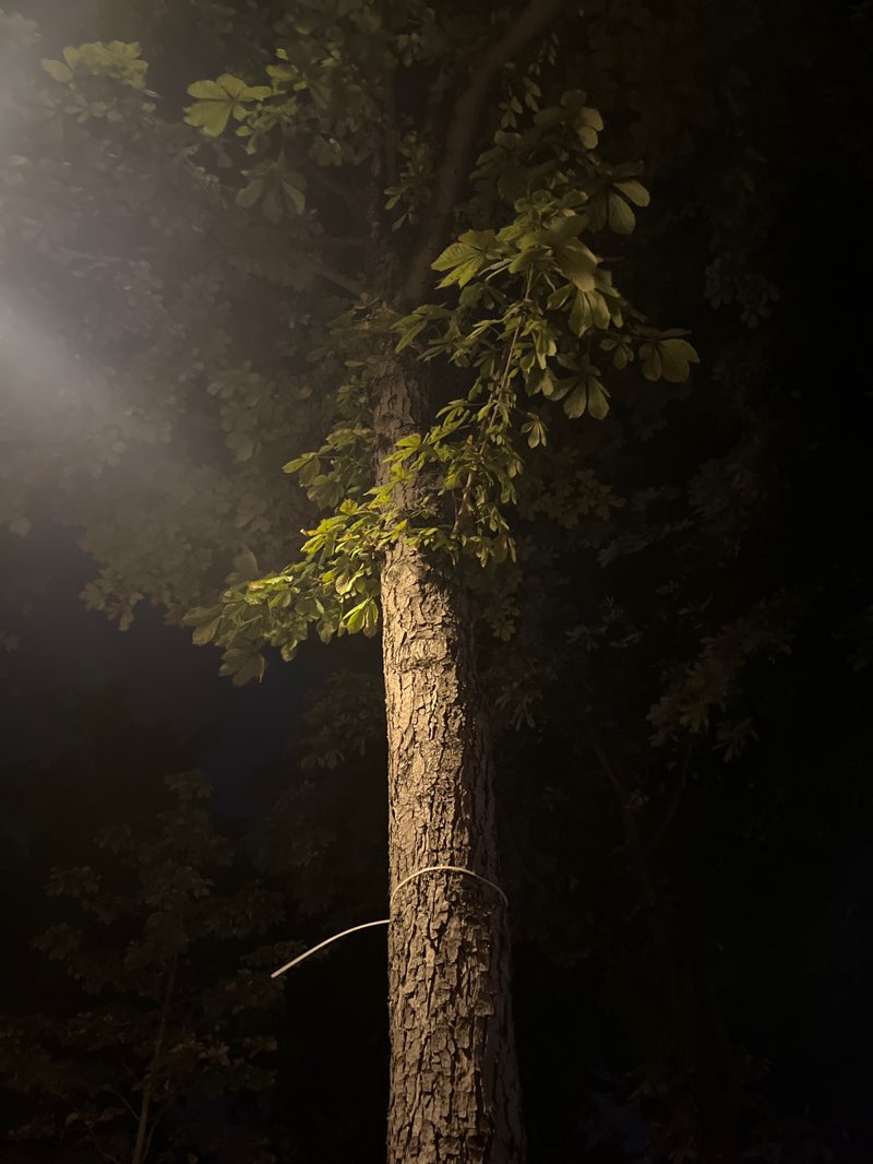 walking near me in Square des Batignolles in autumn