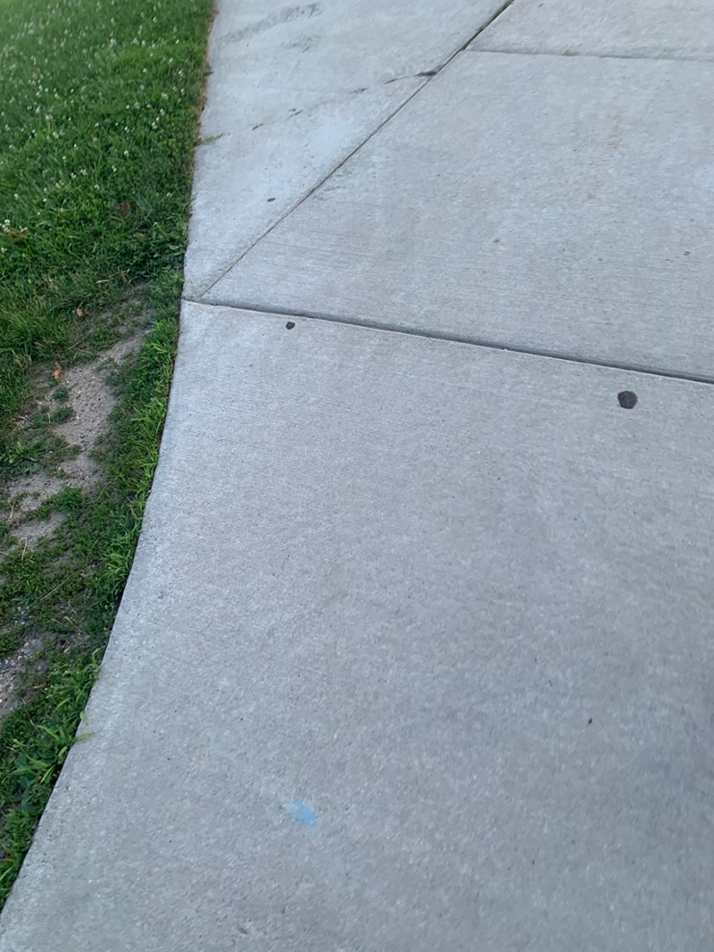 walking near me in Drake Park in summer