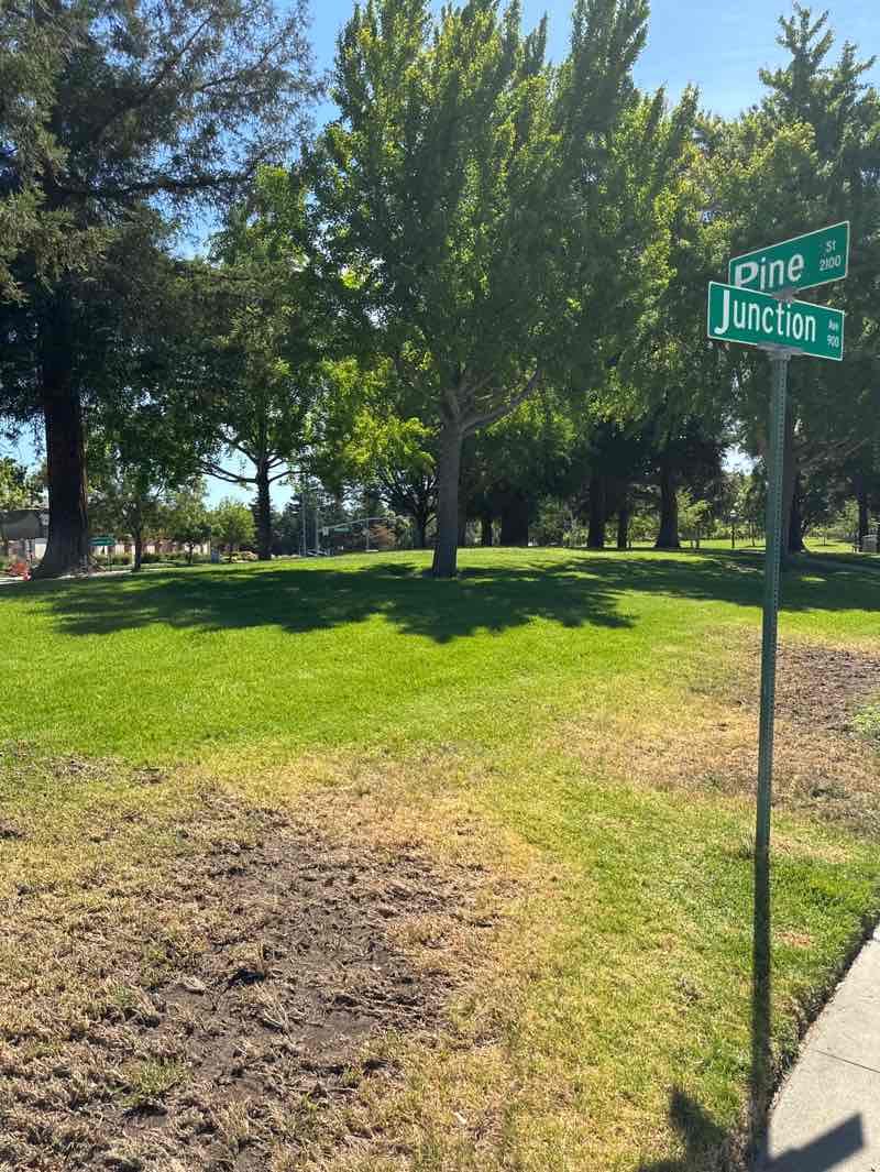 walking near me in Lincoln Highway Park in summer