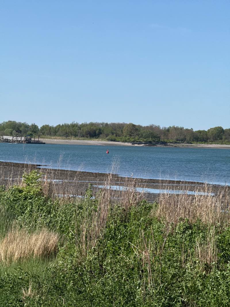 walking near me in Webb Memorial State Park in spring