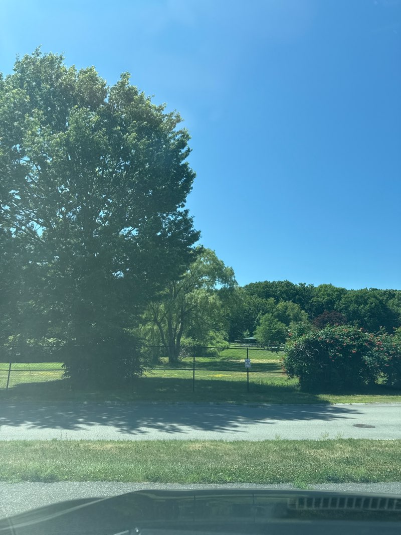 walking near me in Green Hill Park in summer