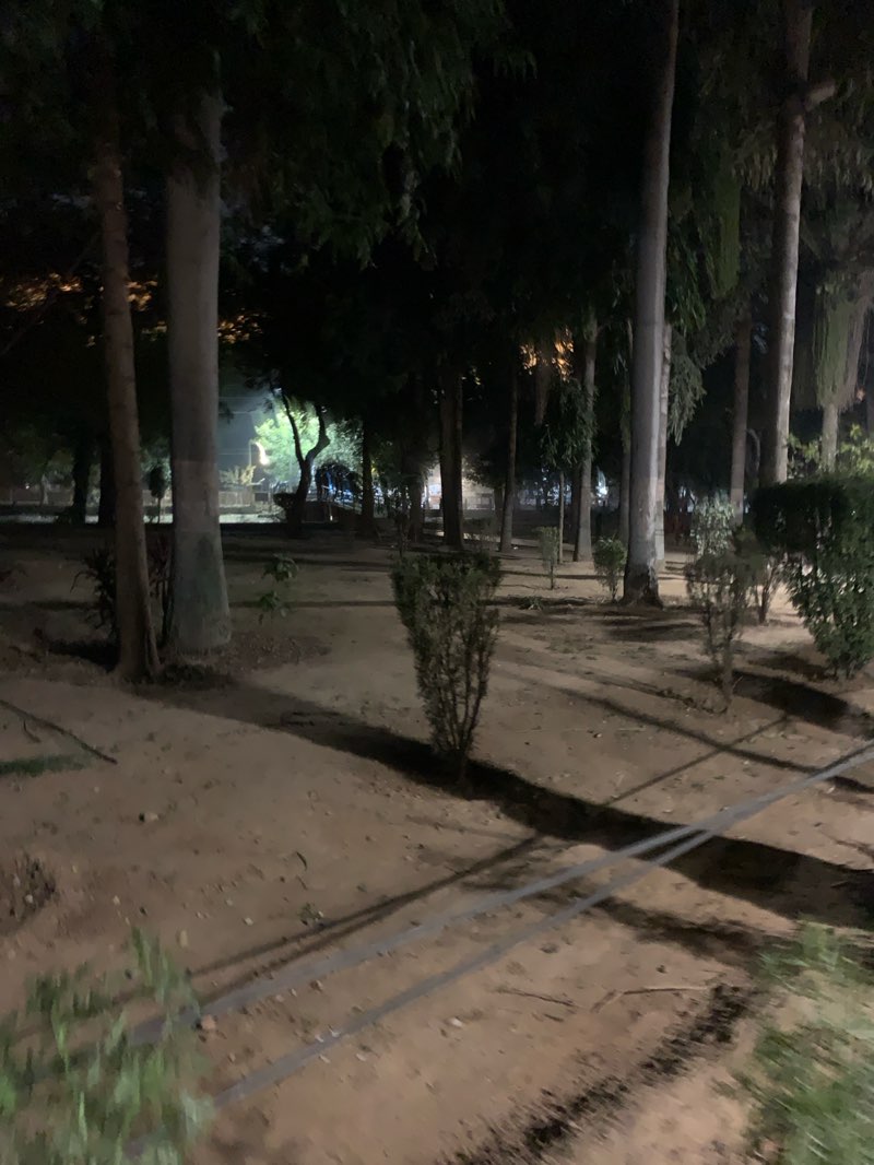 walking near me in Mahatma Gandhi Park in winter