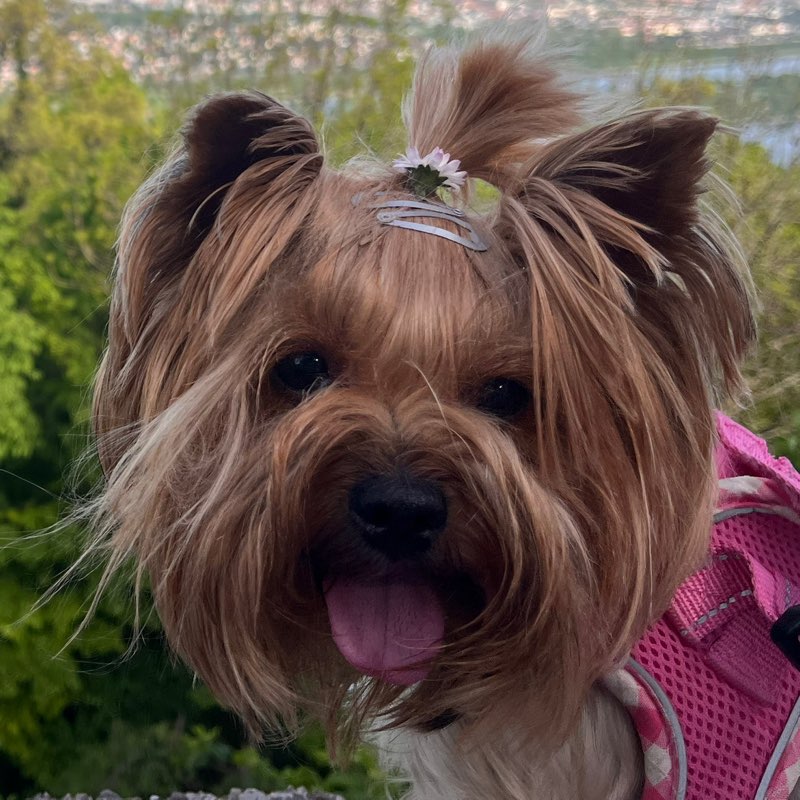 Teodora