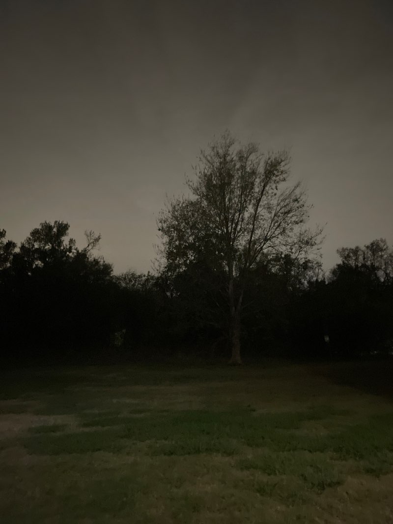 walking near me in Park Hudson in winter