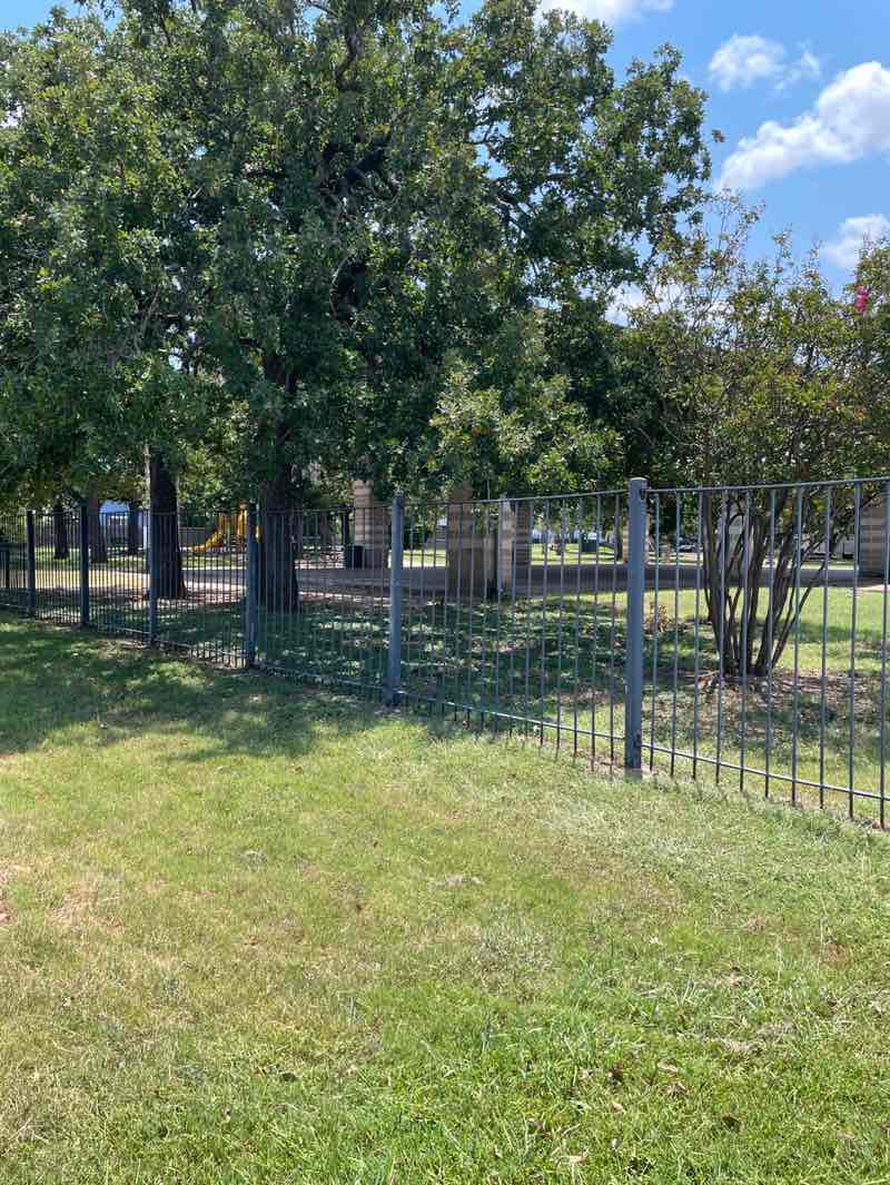 walking near me in Lions Park in autumn