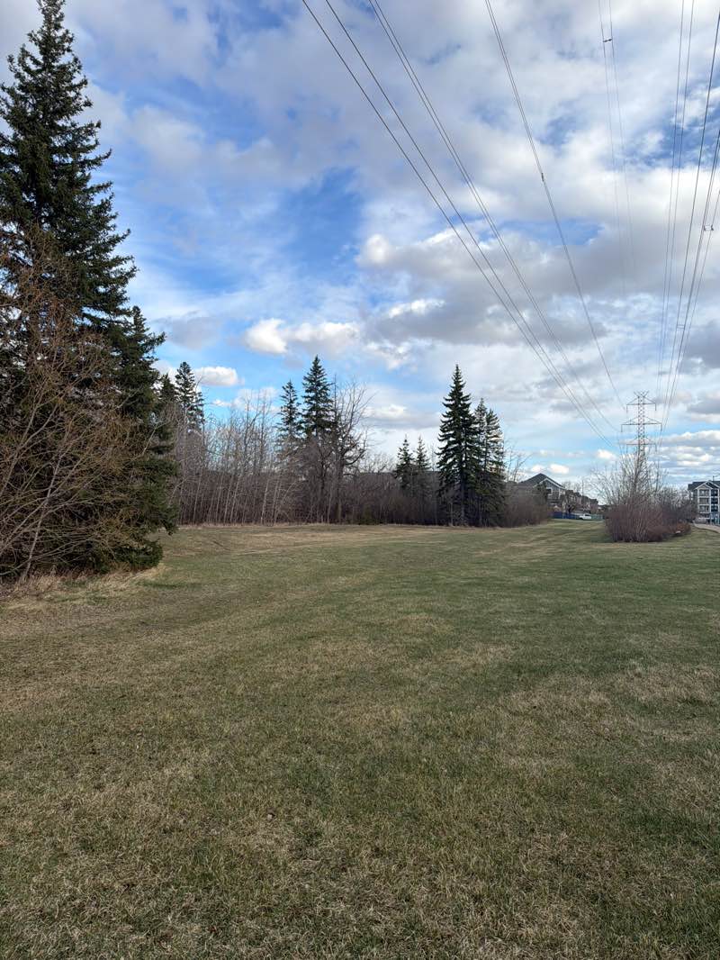 walking near me in Summerside Park in spring