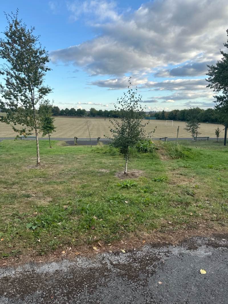 walking near me in Beech Grove Park in autumn