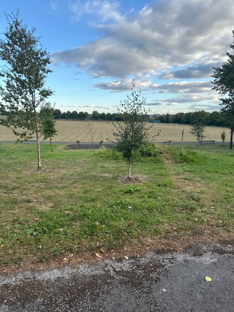 walking near me in Bradford Moor Park in autumn