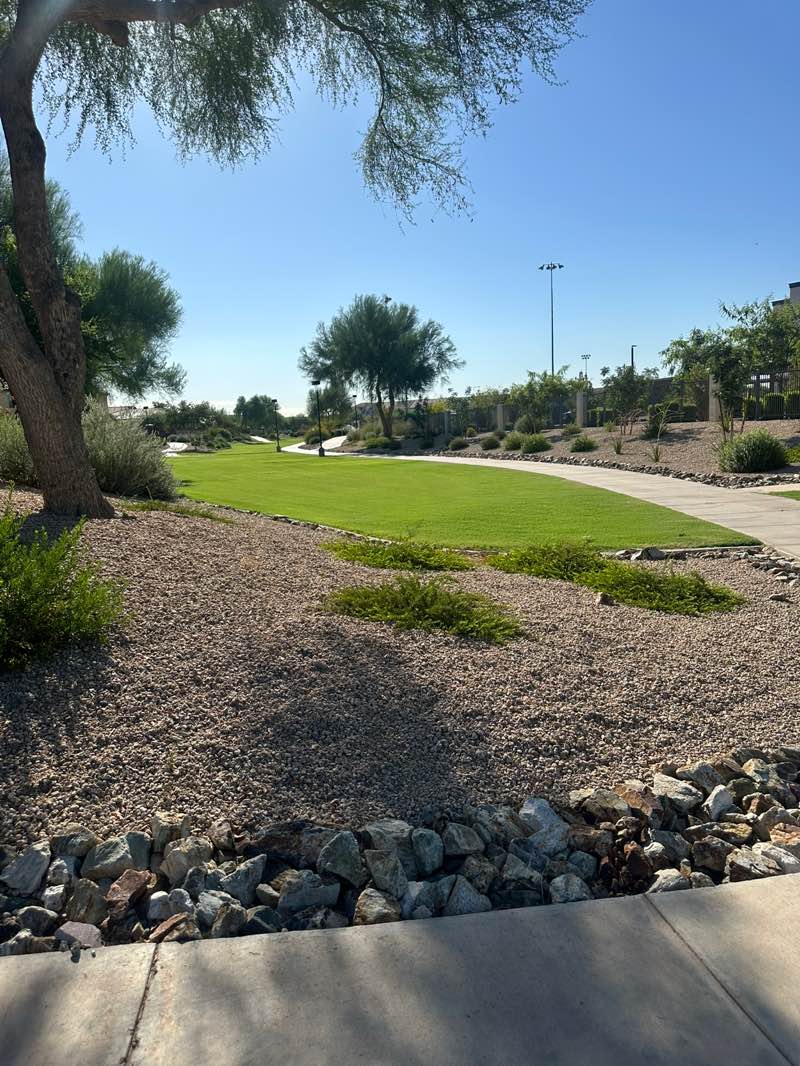 walking near me in Falcon Park in autumn