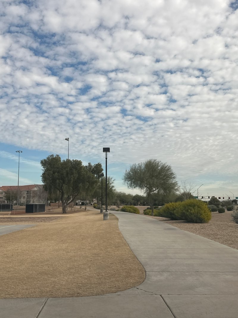 walking near me in Falcon Park in winter