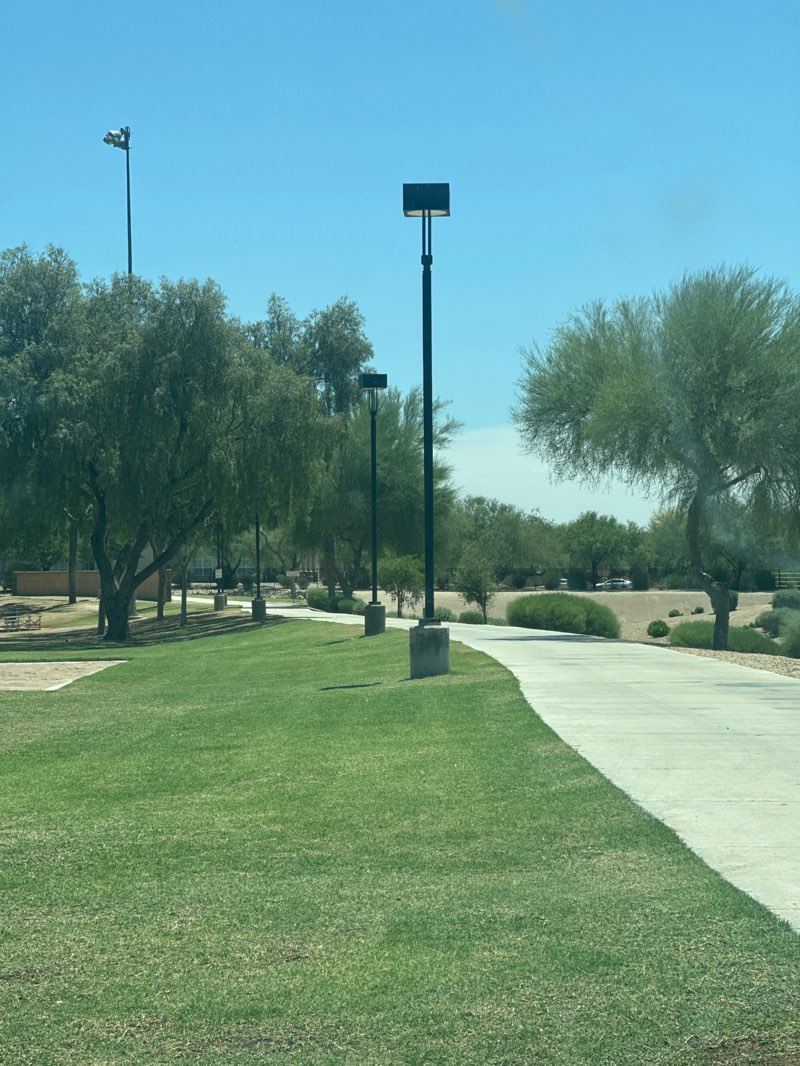 walking near me in Falcon Park in summer